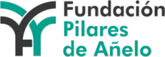 Fundacion Pilares De Anelo